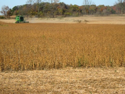 Property photo 23 - 110+/- Acres offered in 4 Tillable Tracts